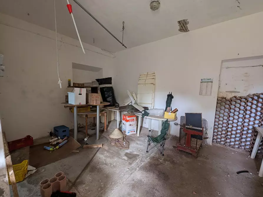 Immagine 29 di Casa colonica in vendita  a Orbetello