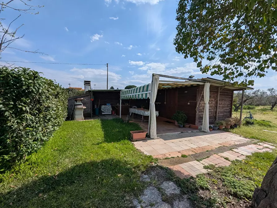 Immagine 46 di Casa colonica in vendita  a Orbetello