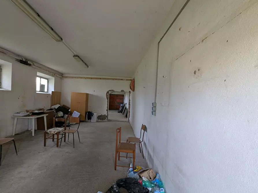 Immagine 28 di Casa colonica in vendita  a Orbetello