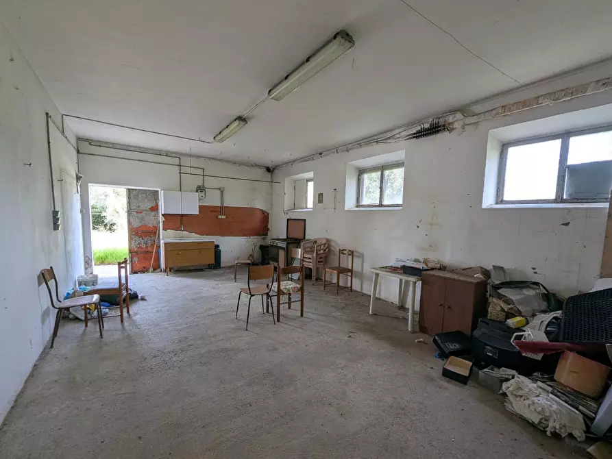 Immagine 27 di Casa colonica in vendita  a Orbetello