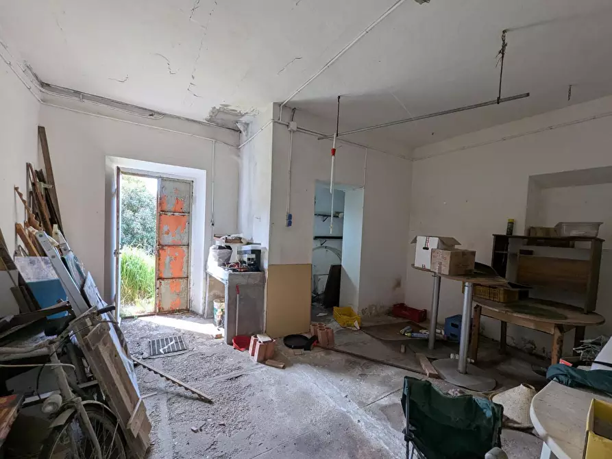 Immagine 30 di Casa colonica in vendita  a Orbetello
