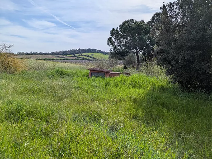 Immagine 36 di Casa colonica in vendita  a Orbetello