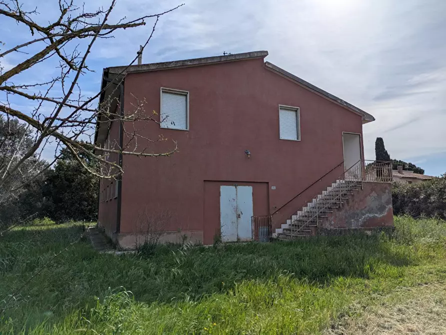 Immagine 1 di Casa colonica in vendita  a Orbetello