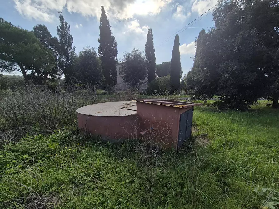 Immagine 51 di Casa colonica in vendita  a Orbetello