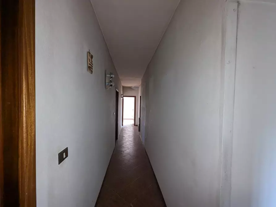 Immagine 21 di Casa colonica in vendita  a Orbetello