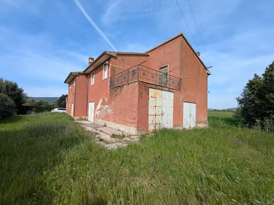 Immagine 2 di Casa colonica in vendita  a Orbetello