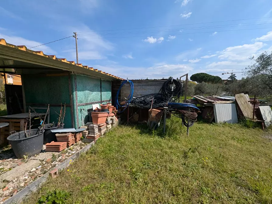 Immagine 43 di Casa colonica in vendita  a Orbetello