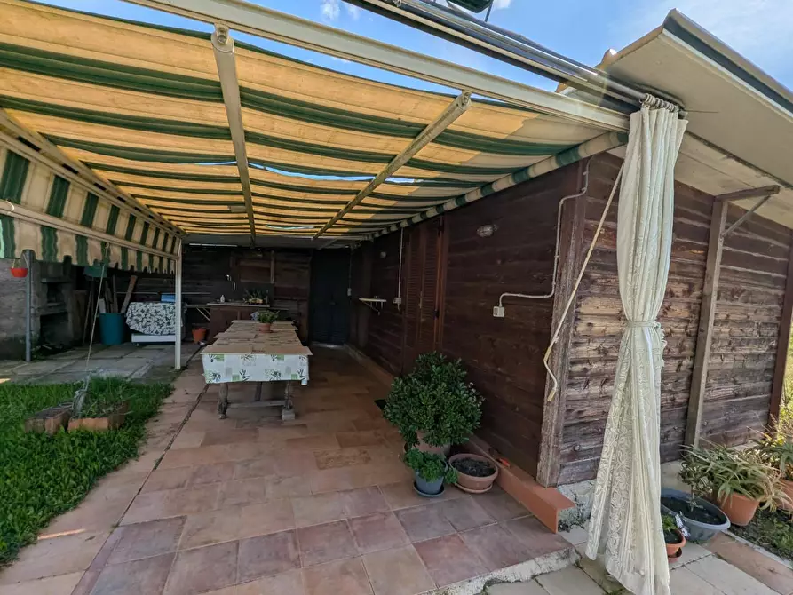 Immagine 45 di Casa colonica in vendita  a Orbetello