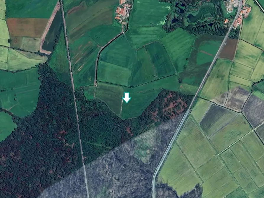 Immagine 1 di Terreno agricolo in vendita  a Ozzero