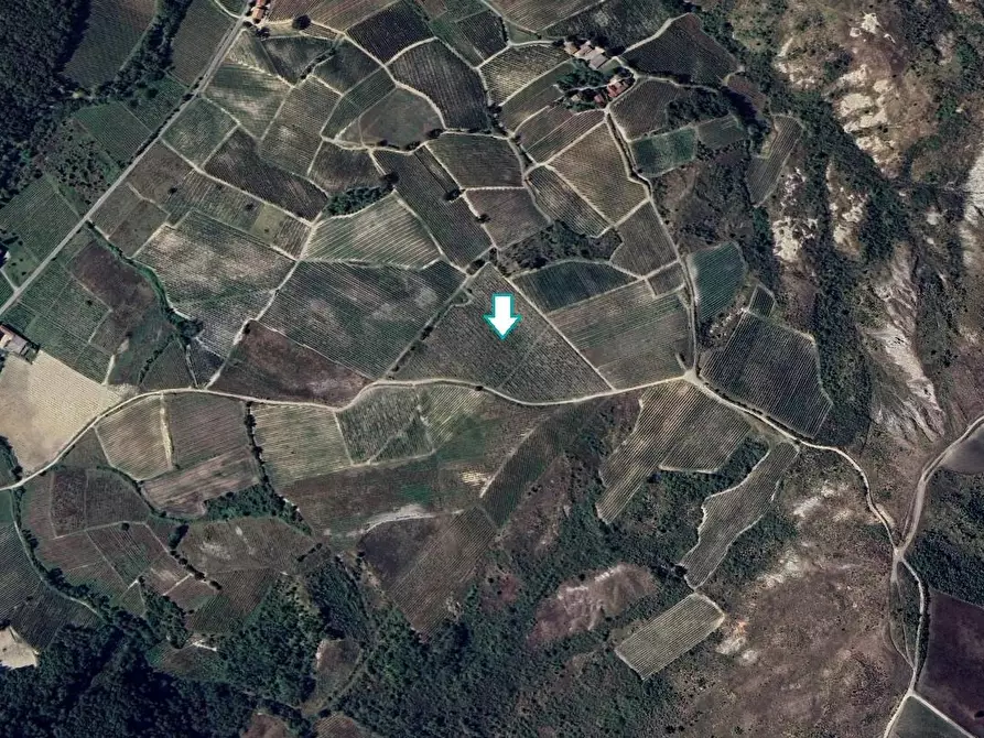 Immagine 1 di Terreno agricolo in vendita  a Borgoratto Mormorolo