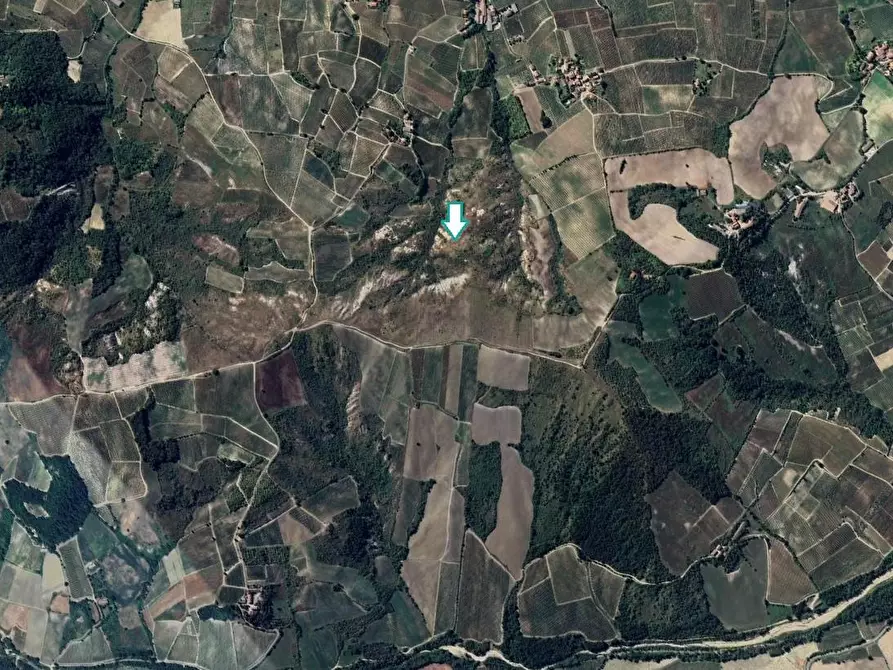 Immagine 1 di Terreno agricolo in vendita  a Borgoratto Mormorolo