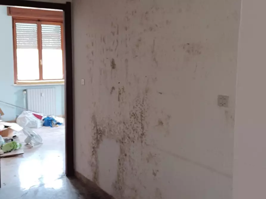 Immagine 12 di Appartamento in vendita  a Strevi