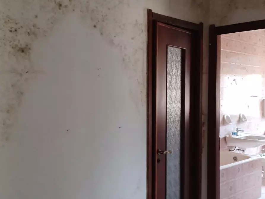 Immagine 13 di Appartamento in vendita  a Strevi