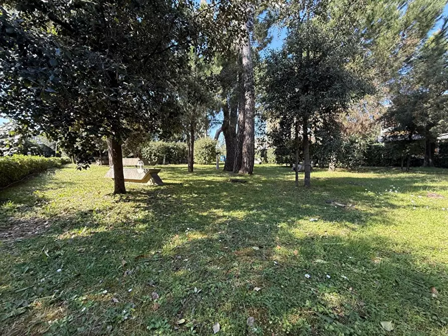 Immagine 5 di Villetta a schiera in vendita  a Massa