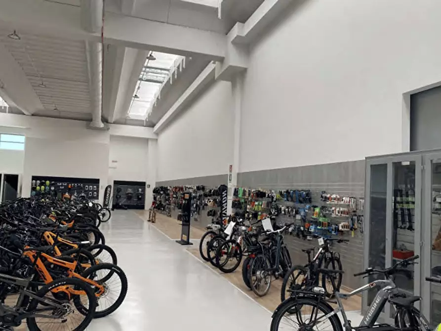 Immagine 55 di Capannone industriale in vendita  a Cereseto