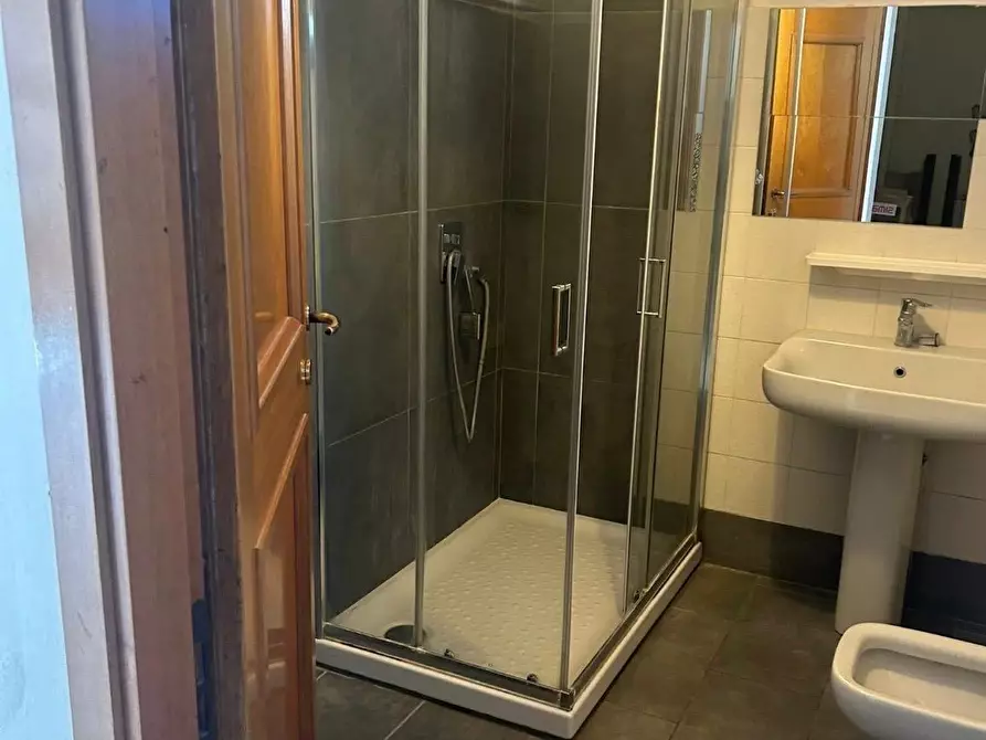 Immagine 16 di Appartamento in affitto  a Ameglia