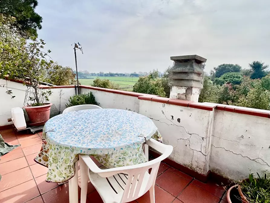 Immagine 1 di Mansarda in vendita  a Pisa