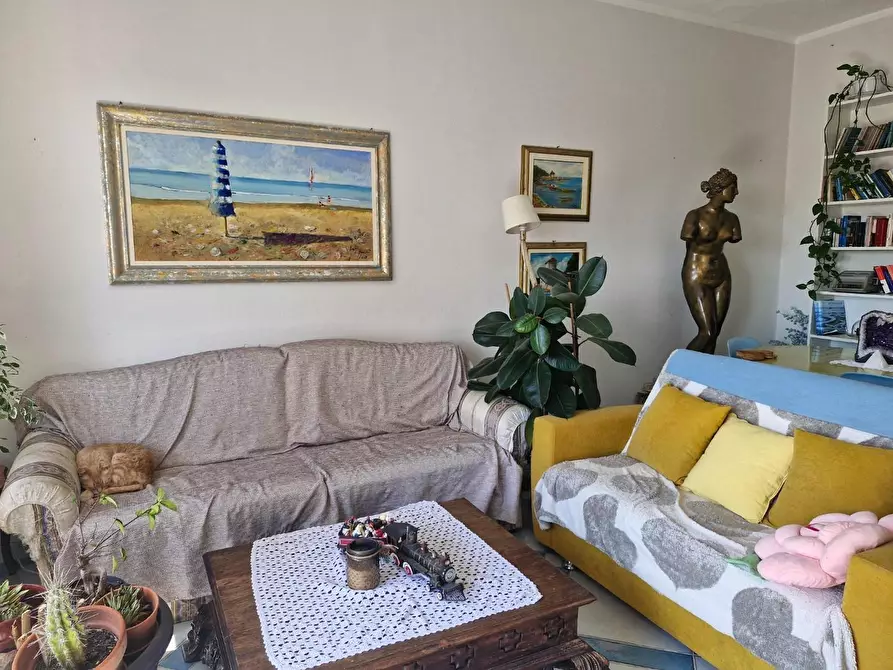 Immagine 4 di Appartamento in vendita  a Piombino