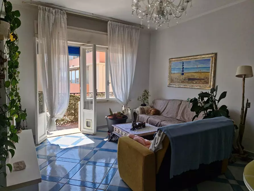 Immagine 2 di Appartamento in vendita  a Piombino