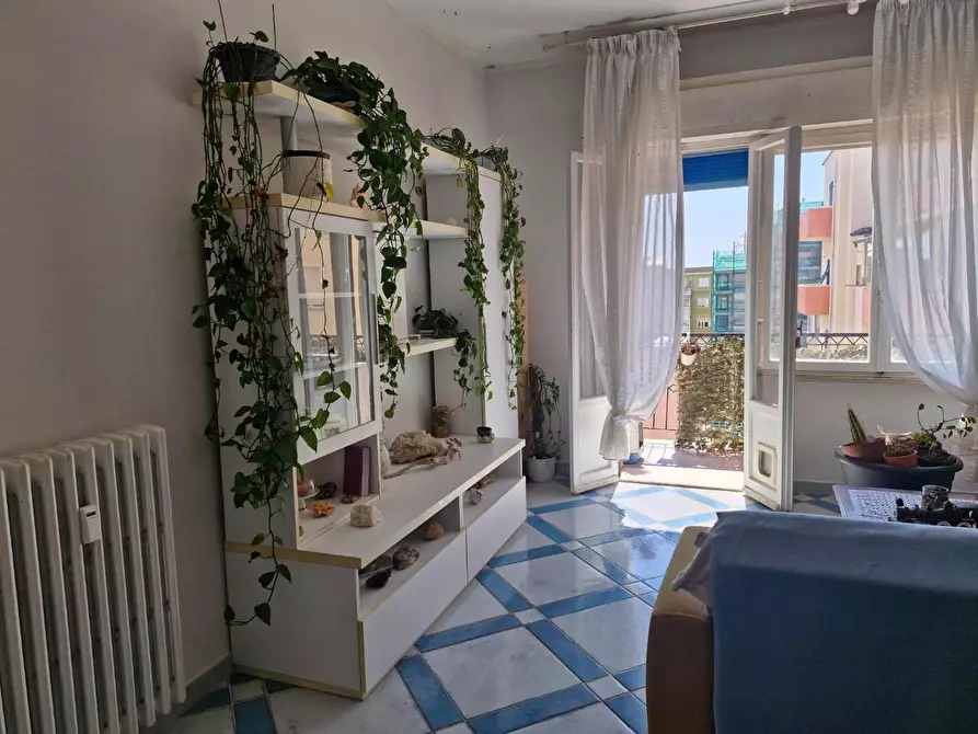 Immagine 11 di Appartamento in vendita  a Piombino