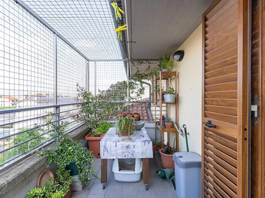 Immagine 38 di Appartamento in vendita  a San Miniato