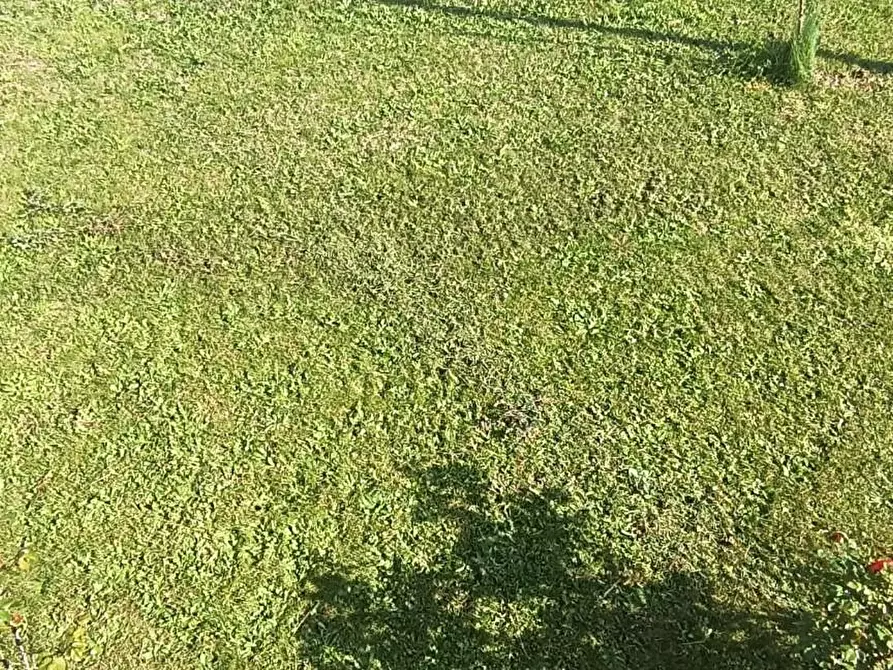 Immagine 6 di Villa in vendita  a Cascina