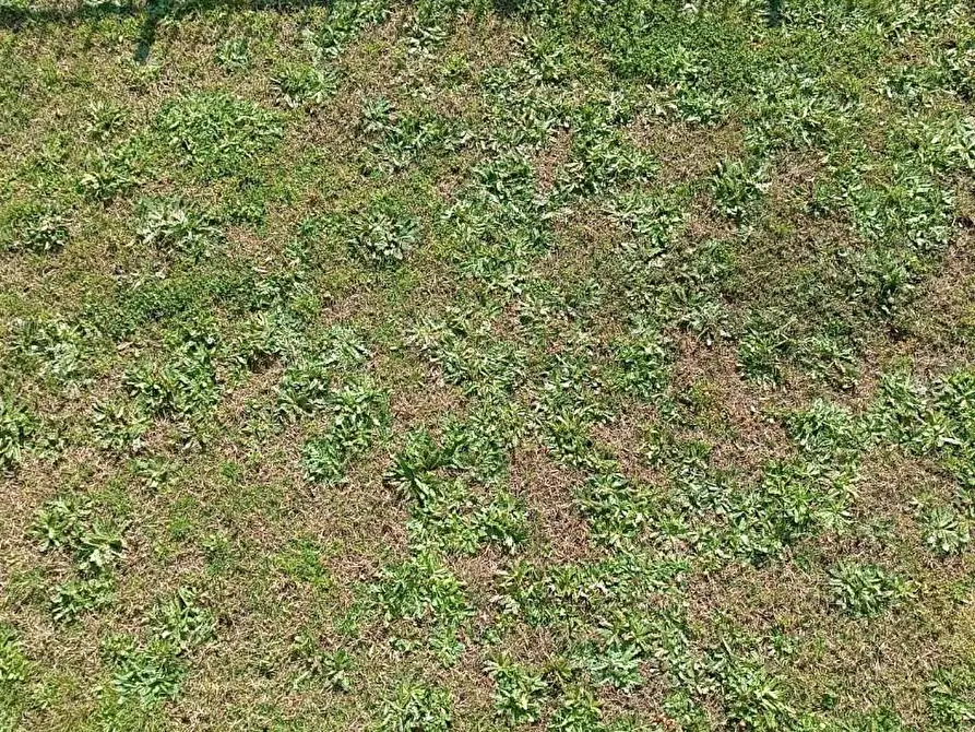 Immagine 14 di Villa in vendita  a Cascina