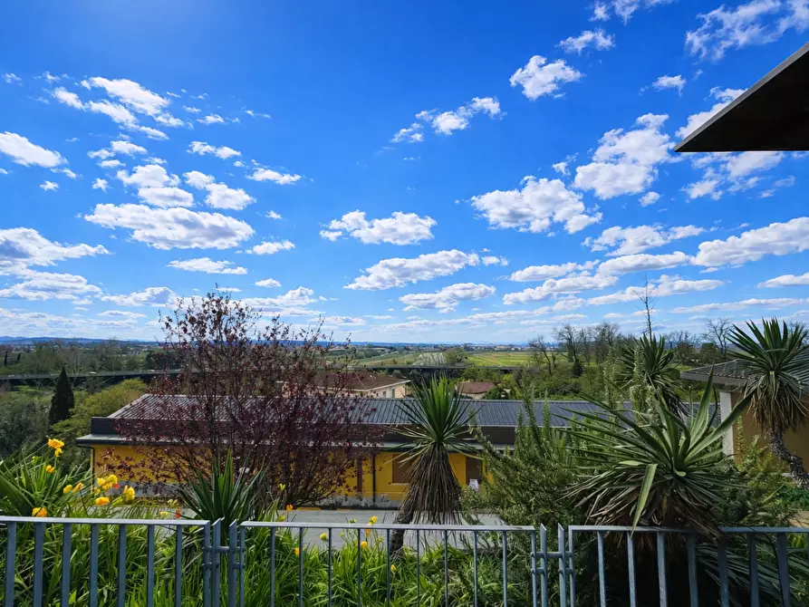 Immagine 3 di Appartamento in vendita  a Calcinaia