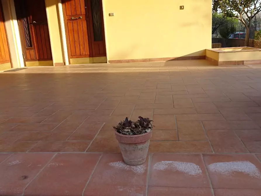 Immagine 15 di Casa bifamiliare in vendita  a Pisa