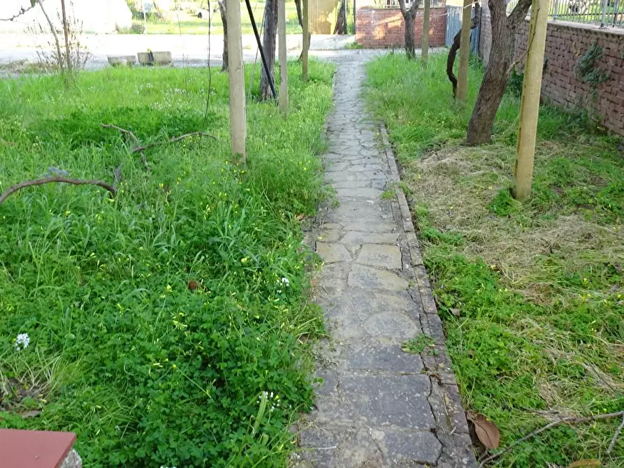 Immagine 9 di Casa bifamiliare in vendita  a Pisa