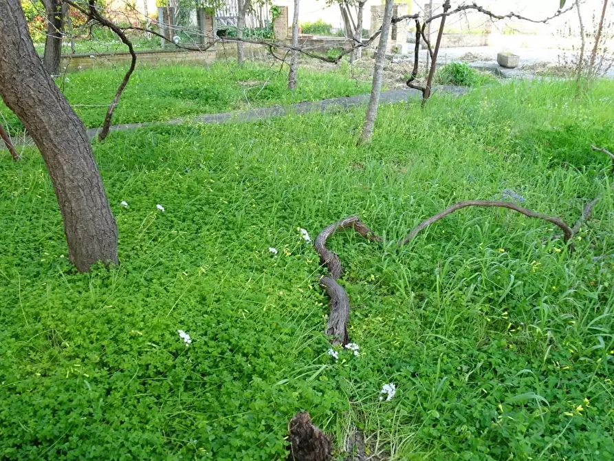 Immagine 10 di Casa bifamiliare in vendita  a Pisa