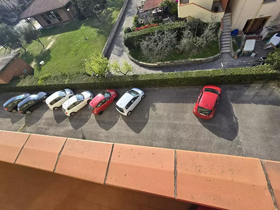 Immagine 20 di Appartamento in vendita  a Calcinaia