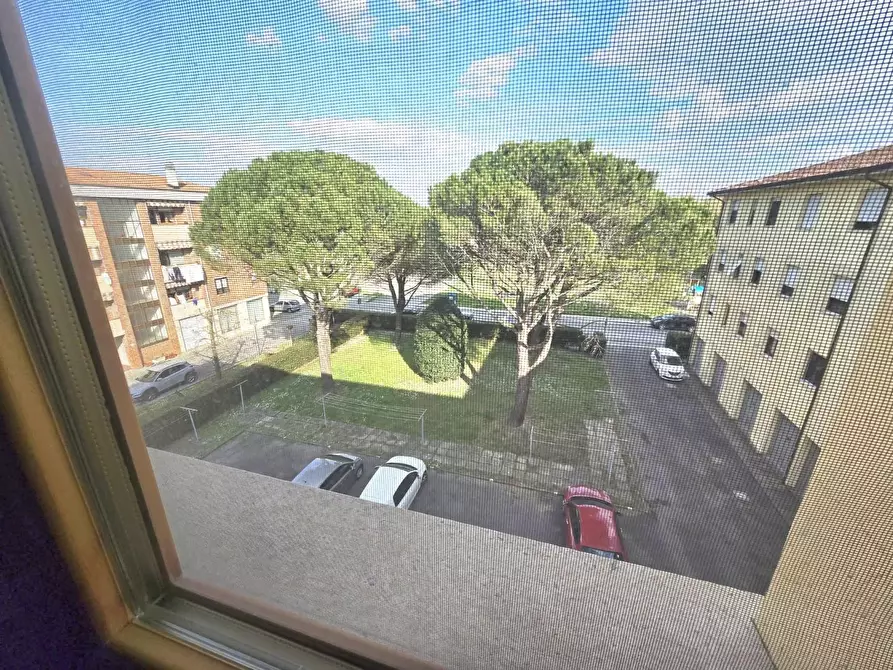 Immagine 17 di Appartamento in vendita  a Calcinaia