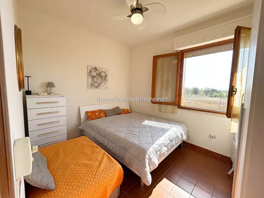 Immagine 11 di Appartamento in vendita  a Rosignano Marittimo