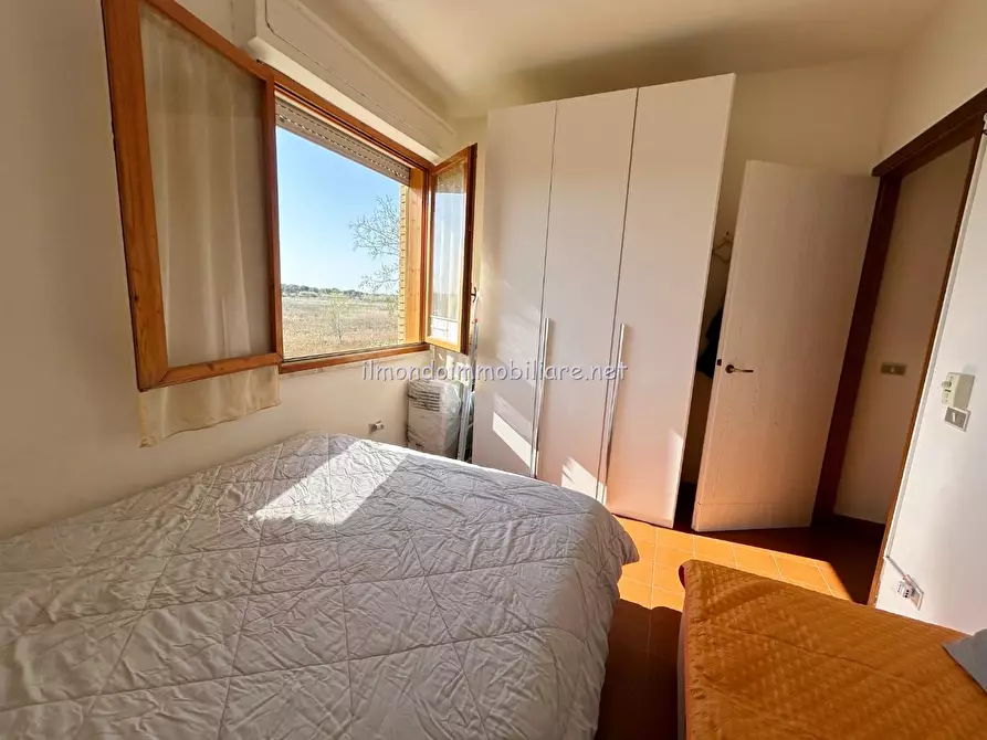 Immagine 13 di Appartamento in vendita  a Rosignano Marittimo