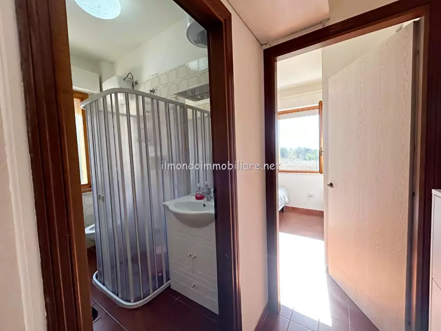 Immagine 9 di Appartamento in vendita  a Rosignano Marittimo