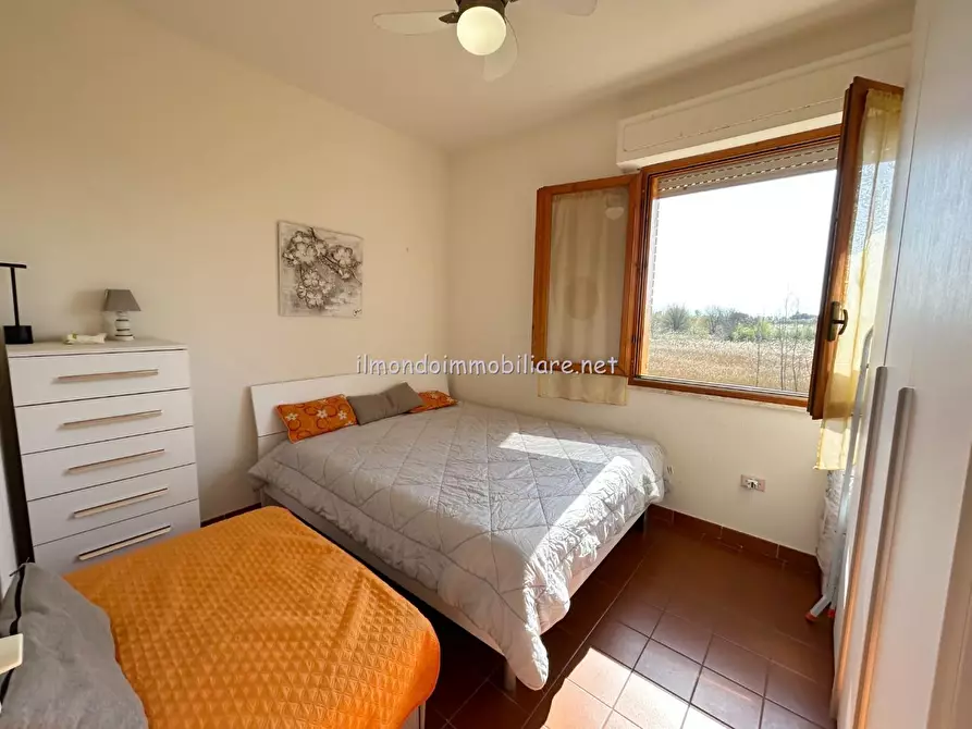 Immagine 10 di Appartamento in vendita  a Rosignano Marittimo