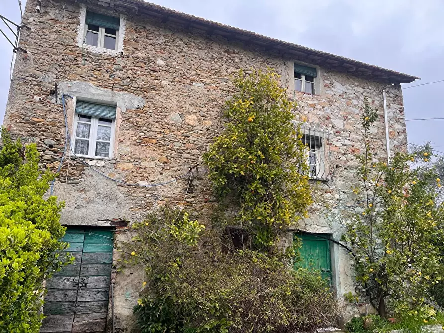 Immagine 7 di Villa in vendita  a Forte Dei Marmi