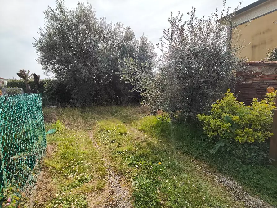 Immagine 22 di Terratetto in vendita  a Capannori