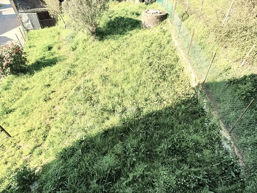 Immagine 18 di Deposito in vendita  a Capannori