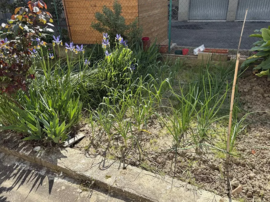 Immagine 27 di Appartamento in vendita  a Vinci