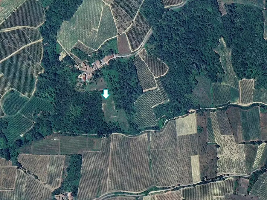 Immagine 1 di Terreno agricolo in vendita  a Santa Giuletta