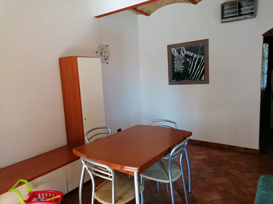 Immagine 3 di Appartamento in vendita  a Terricciola