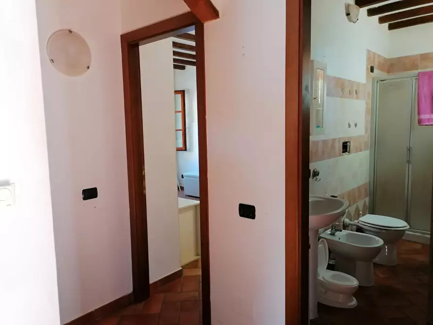 Immagine 8 di Appartamento in vendita  a Terricciola