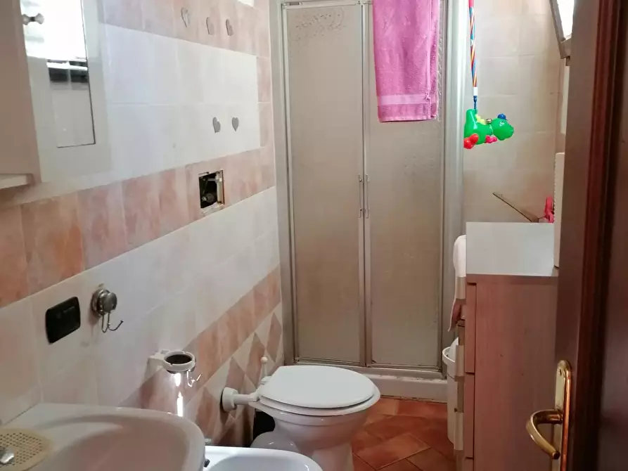 Immagine 7 di Appartamento in vendita  a Terricciola