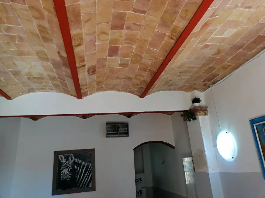 Immagine 4 di Appartamento in vendita  a Terricciola