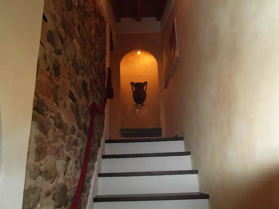 Immagine 30 di Terratetto in vendita  a Capraia E Limite