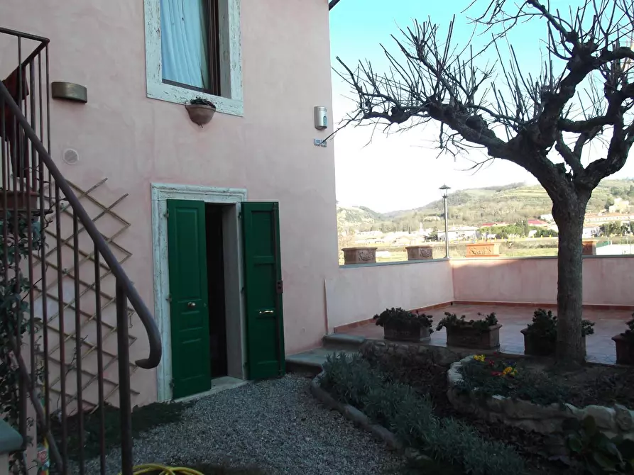 Immagine 59 di Terratetto in vendita  a Capraia E Limite