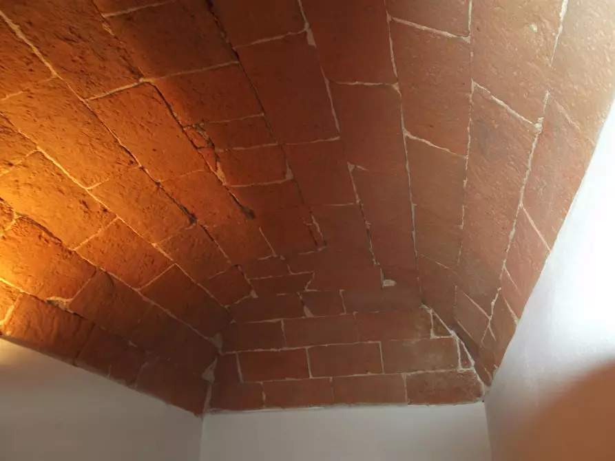 Immagine 28 di Terratetto in vendita  a Capraia E Limite