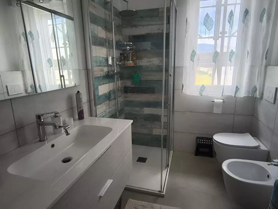 Immagine 5 di Appartamento in vendita  a Camaiore